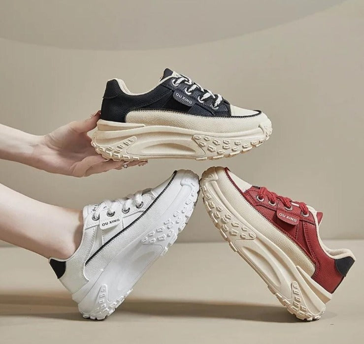 🌟TENIS BRILLA🌟